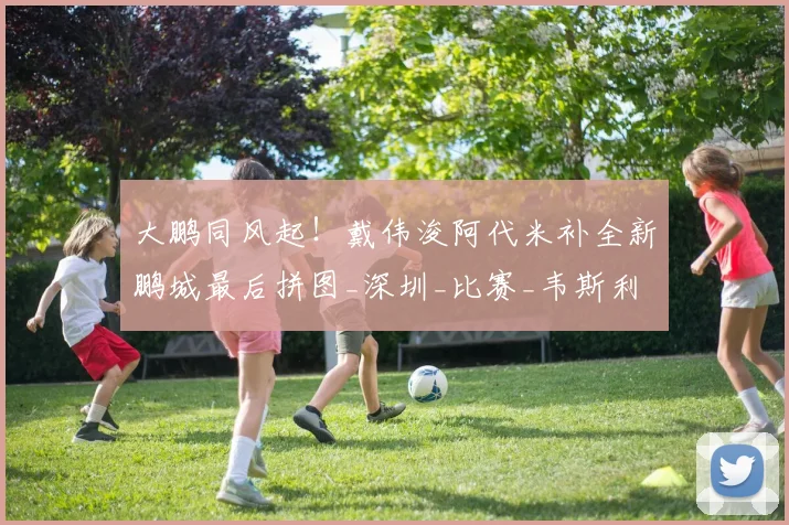 大鹏同风起！戴伟浚阿代米补全新鹏城最后拼图_深圳_比赛_韦斯利