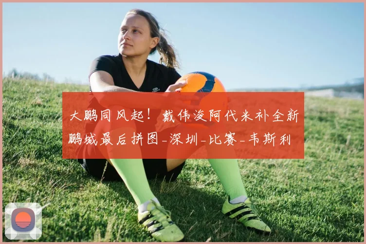大鹏同风起!戴伟浚阿代米补全新鹏城最后拼图_深圳_比赛_韦斯利